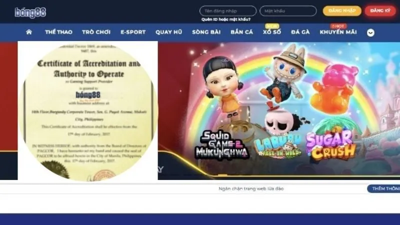 Giấy phép hoạt động đầy đủ