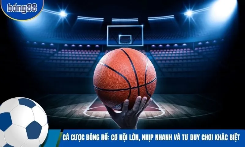 Cá cược bóng rổ: Cơ hội lớn, nhịp nhanh và tư duy chơi khác biệt