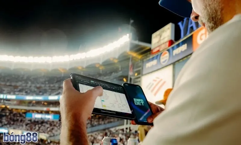 Cá cược thể thao và cách nó vận hành