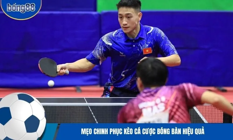 Cách chinh phục kèo cá cược bóng bàn hiệu quả