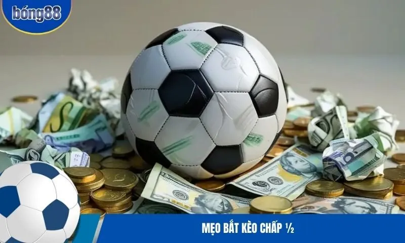 Học lỏm cách bắt kèo chấp 1/2