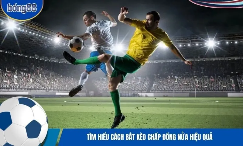 Làm cách nào để bắt kèo chấp Đồng Nửa?