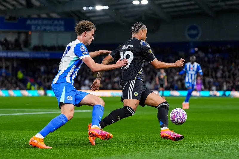 Đội hình dự kiến trước trận Leeds vs Brighton Đội hình dự kiến trước trận Leeds vs Brighton